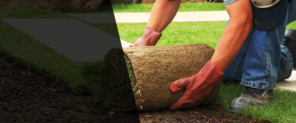 Haltom City Landscapers